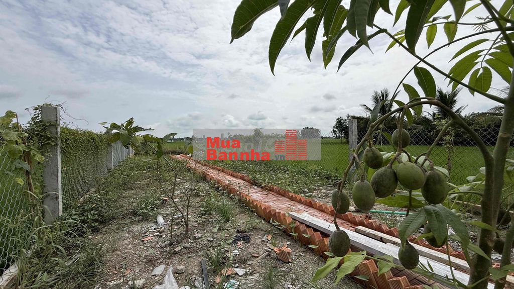 Nhà Vườn 341m2 có vườn cây ao cá giá chỉ 1,7 tỷ gần KĐT Rạch Kiến