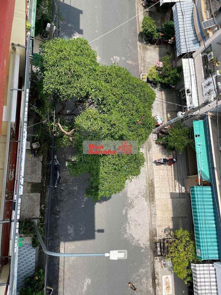 🌿💯KẾ BÊN CÔNG VIÊN !!! MTNB đường 12m khu Bình Phú 4x12m 4 tầng+lửng