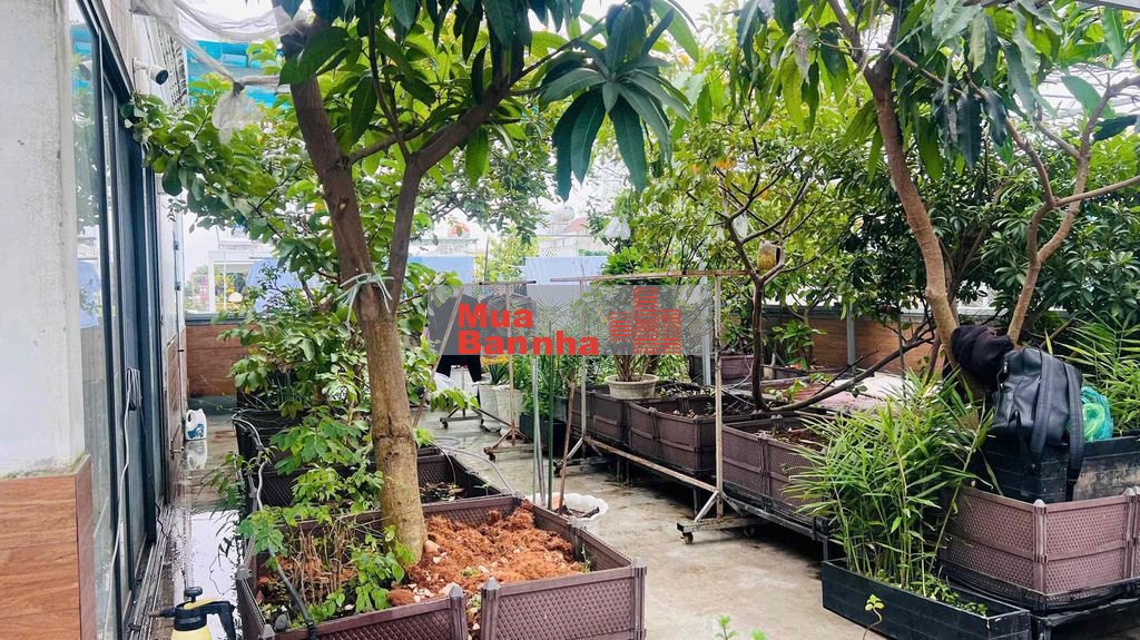 ✨ BÁN CẶP NHÀ CAO CẤP KHU D2D – VÕ THỊ SÁU, P. THỐNG NHẤT, BIÊN HÒA ✨