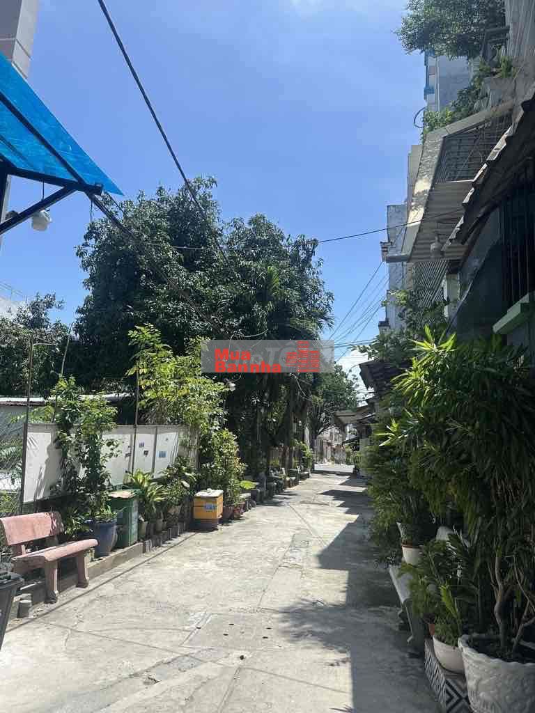 shock giảm mạnh còn nhỉnh 5ty nhà 4 lầu xe hơi ngủ trong nhà ngay thới