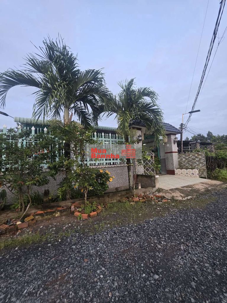 Nhà vườn gần 800m² thổ cư 100% huyện Đức huệ long an