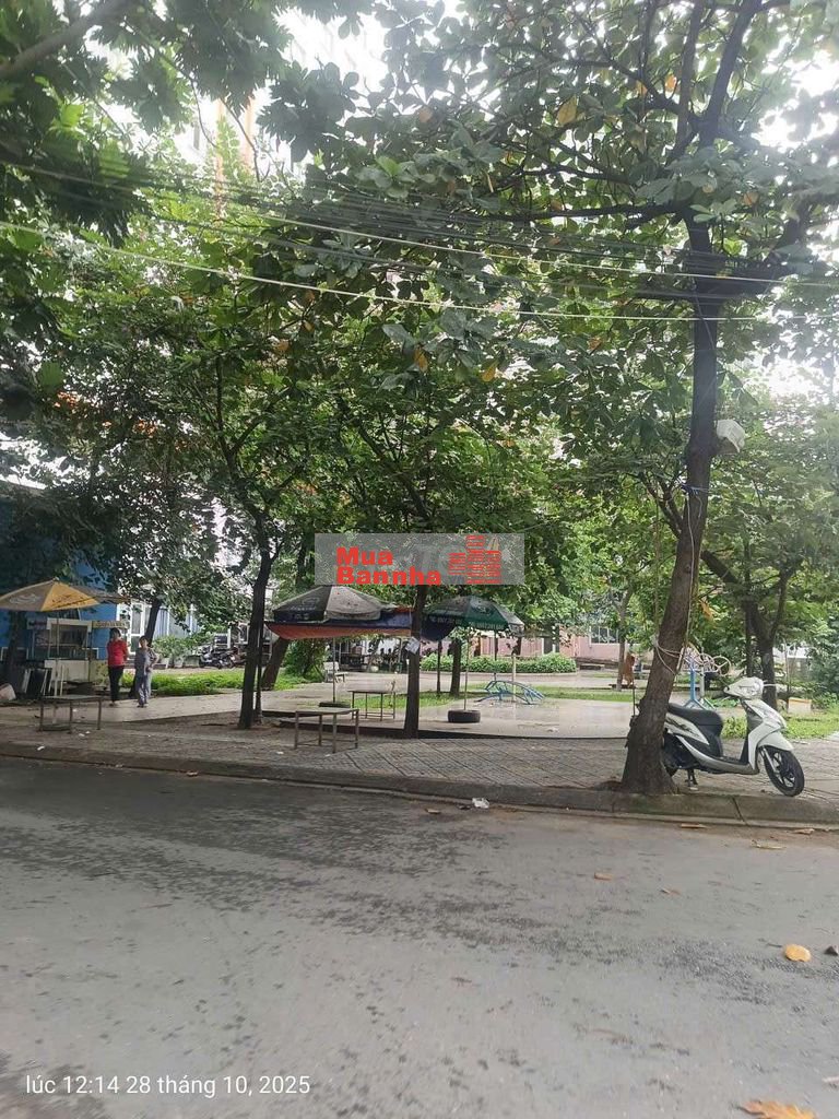 🏡 Bán nhà hẻm xe hơi đường Bùi Minh Trực P5 Q8