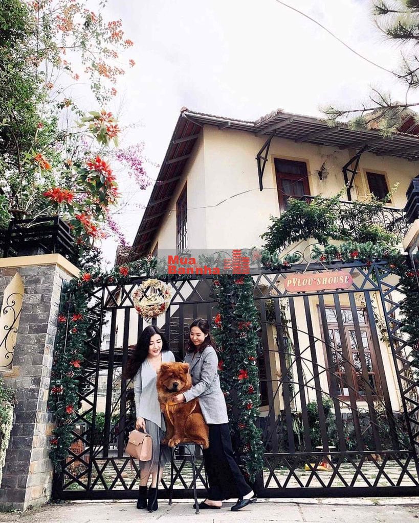 Biệt thự lô góc hẻm xe hơi trần thái tông TP Đà Lạt !