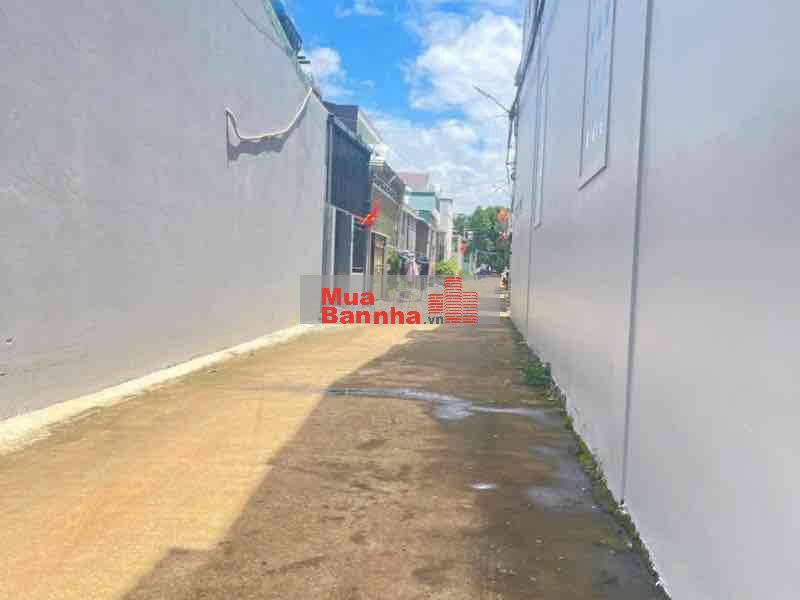 DẪY TRỌ 10x24 HẺM NGUYỄN HỮU THẤU 6 PHÒNG - TÂN LỢI - BMT