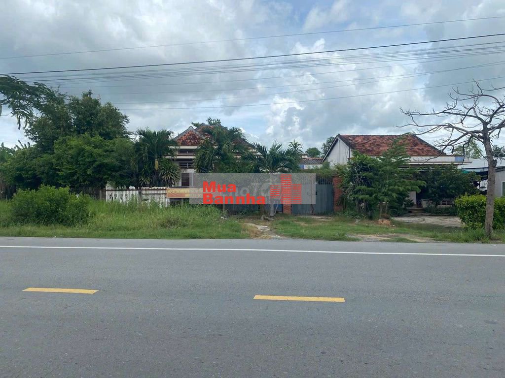 🌳 BÁN ĐẤT MẶT TIỀN QUỐC LỘ 50 – XÃ MỸ LỆ, CẦN ĐƯỚC – GIÁ CỰC TỐT