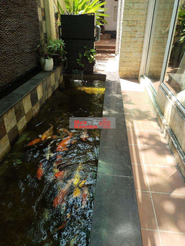 24 tỷ 500 thương lượng, biệt thự 3 tầng mặt tiền khu dân cư,dt:10 × 19