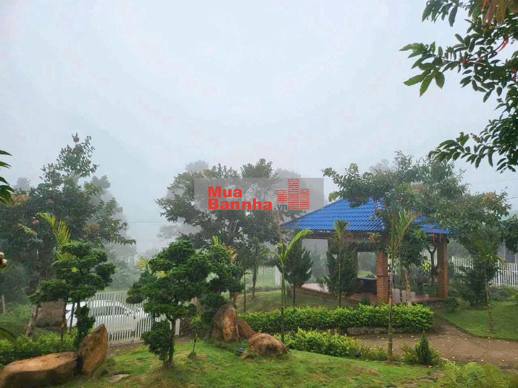 BIỆT THỰ + HOMESTAY VIEW CỰC ĐẸP – LÔ GÓC 2 MẶT TIỀN – CHỈ 5 TỶ 100TR
