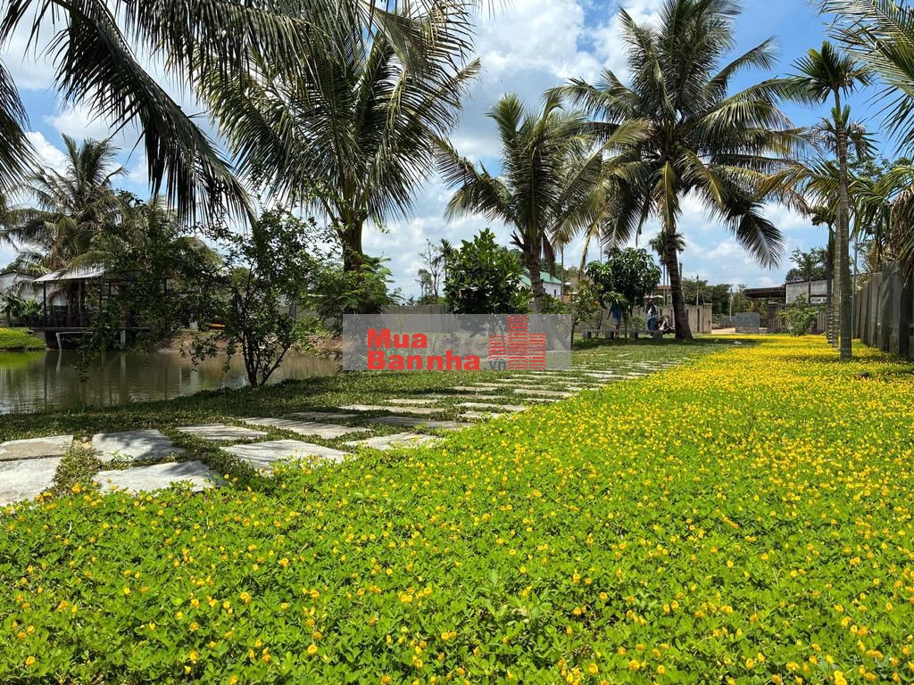 Nhà vườn view đẹp mê ly