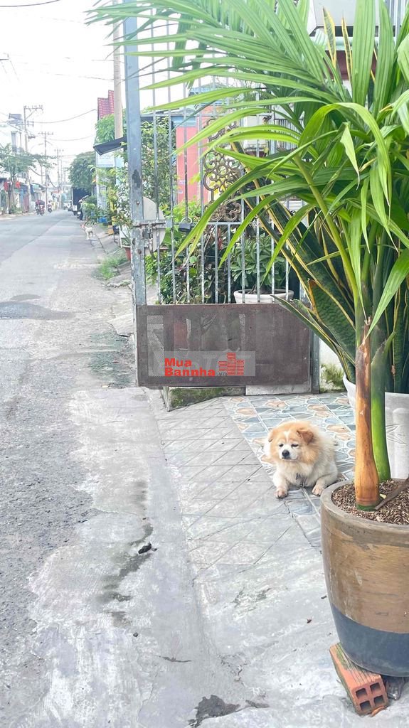 HXH ĐỖ CỬA - SÁT CHỢ HIỆP Q12- 3 TẦNG - 2PN 2WC - SỔ HỒNG