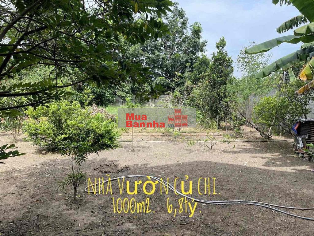 Bán nhà vườn mặt tiền Bàu Lách, Phạm Văn Cội, Củ Chi.