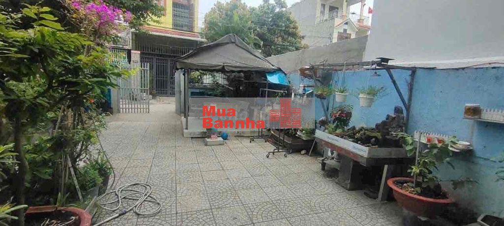 Nhà cấp 4 Dĩ An 141m giá 3 tỷ490