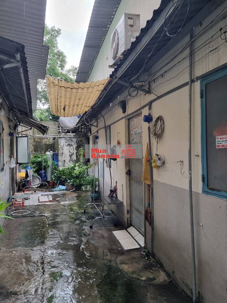 Nhà cho chủ đầu tư xây CHDV tại Đường Số 59, Gò Vấp, 8,2 tỷ, 137m2