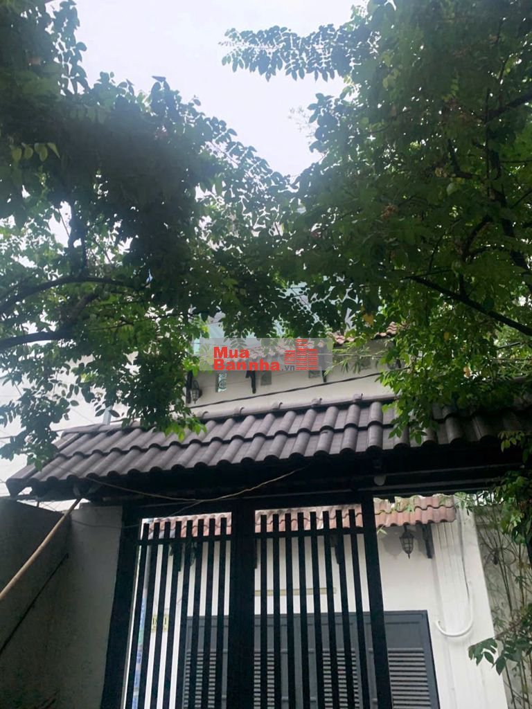 Hẻm 4m thông - Nguyễn Hới - 5m x 18,5m - Đúc betong - Vào ở ngay