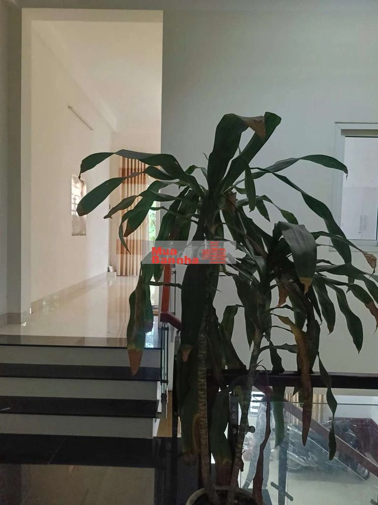 ⏩️  Bán nhà 2 tầng Hồ Sỹ Dương 6.3m nở hậu phong thủy tài lộc 🍀