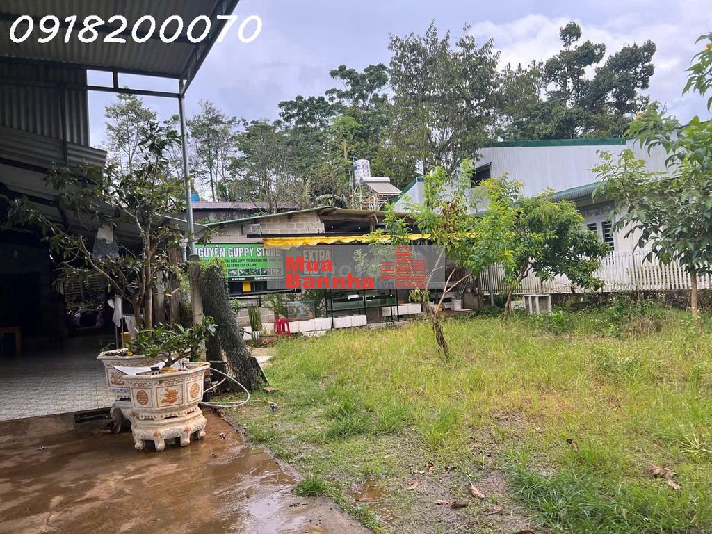 Địa chỉ: 133/9 đường 1/5, phường B’lao, TP. Bảo Lộc