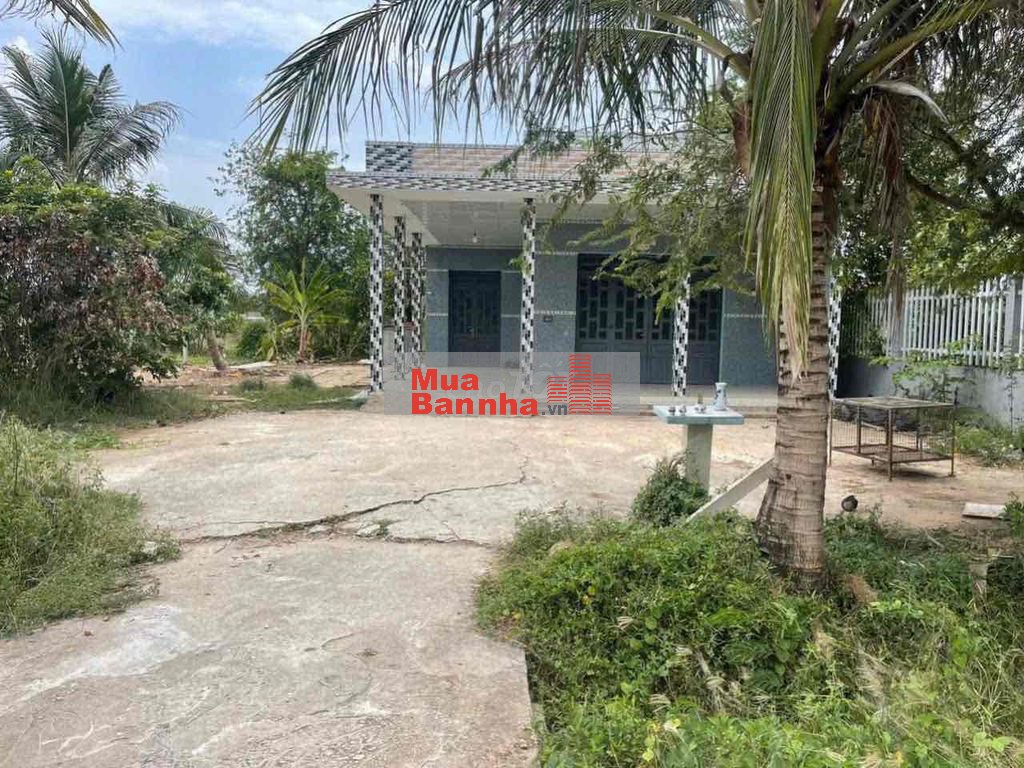 nhà vườn 913m2 đường xe 16 chỗ Cần Giuộc Long An