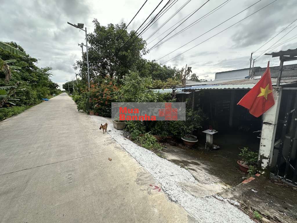 BÁN NHÀ HÓC MÔN - KD MUA BÁN OK - DT KHỦNG - GIÁ CỰC RẺ