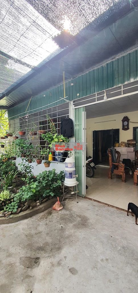 Bán nhà riêng tại Đại La, Thanh Lương, Hai Bà Trưng,124triệu*193m2