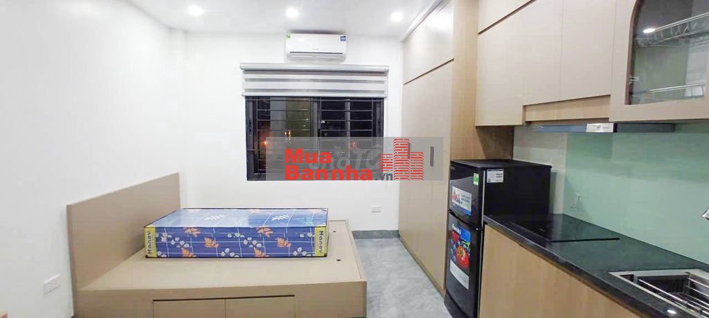 Nhà Đẹp Dòng Tiền Nguyễn An Ninh, Hai Bà Trưng 42 m, 5 tầng, 12.6 tỷ.