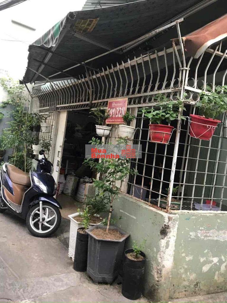 Chinh chủ bán nhà