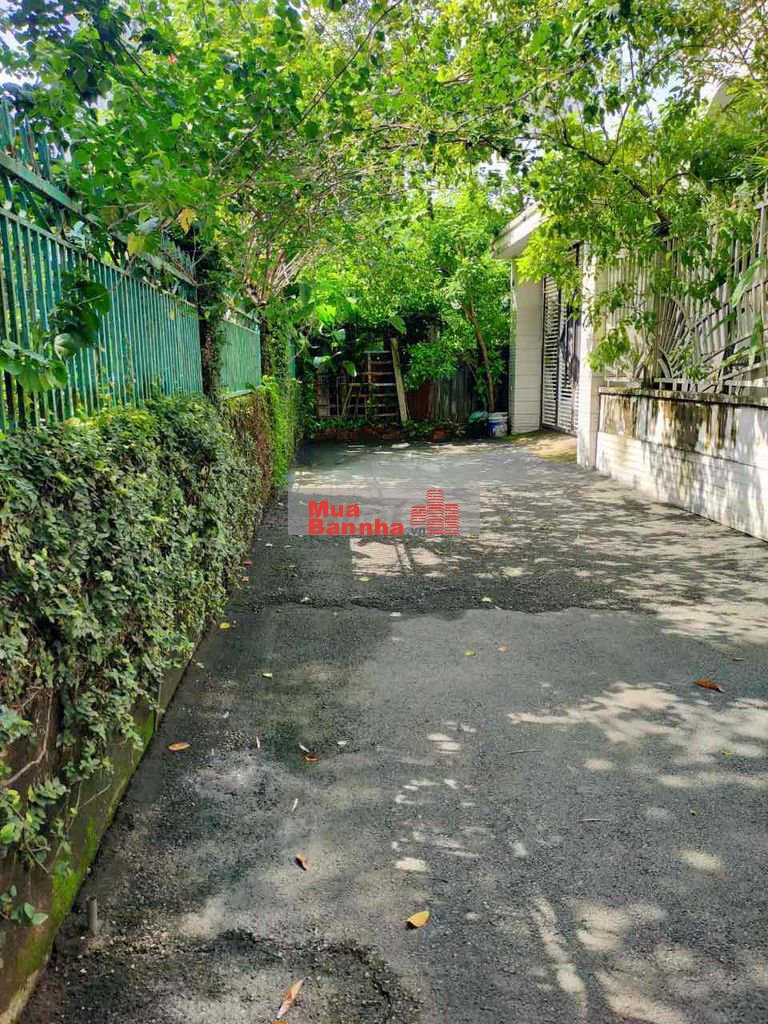 Đất biệt thự Cư Xá Phúc Hải