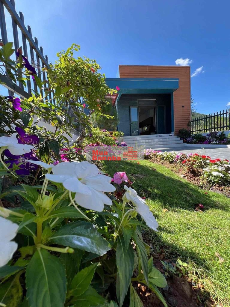 🌿 CĂN NHÀ “GIÓ THÔNG 1” – KHÔNG GIAN SỐNG XANH TẠI NAM BAN 🌿