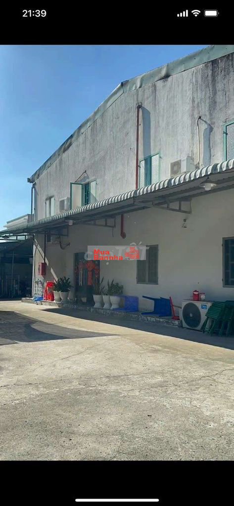 Bán gấp xưởng full Thổ cư. Tân Thạnh Tây. 26x43m.cách Tỉnh Lộ 8. 300m