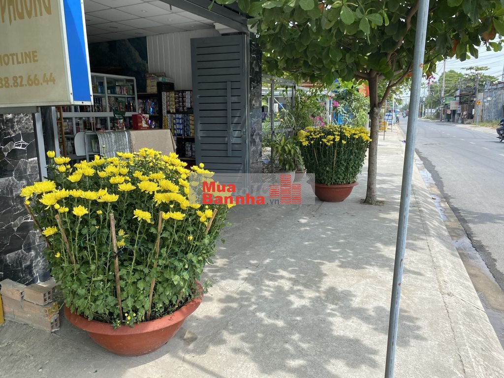 NHÀ MẶT TIỀN PHẠM THI GIẤY, 5X30M, 8.5 TỶ, HH 3%