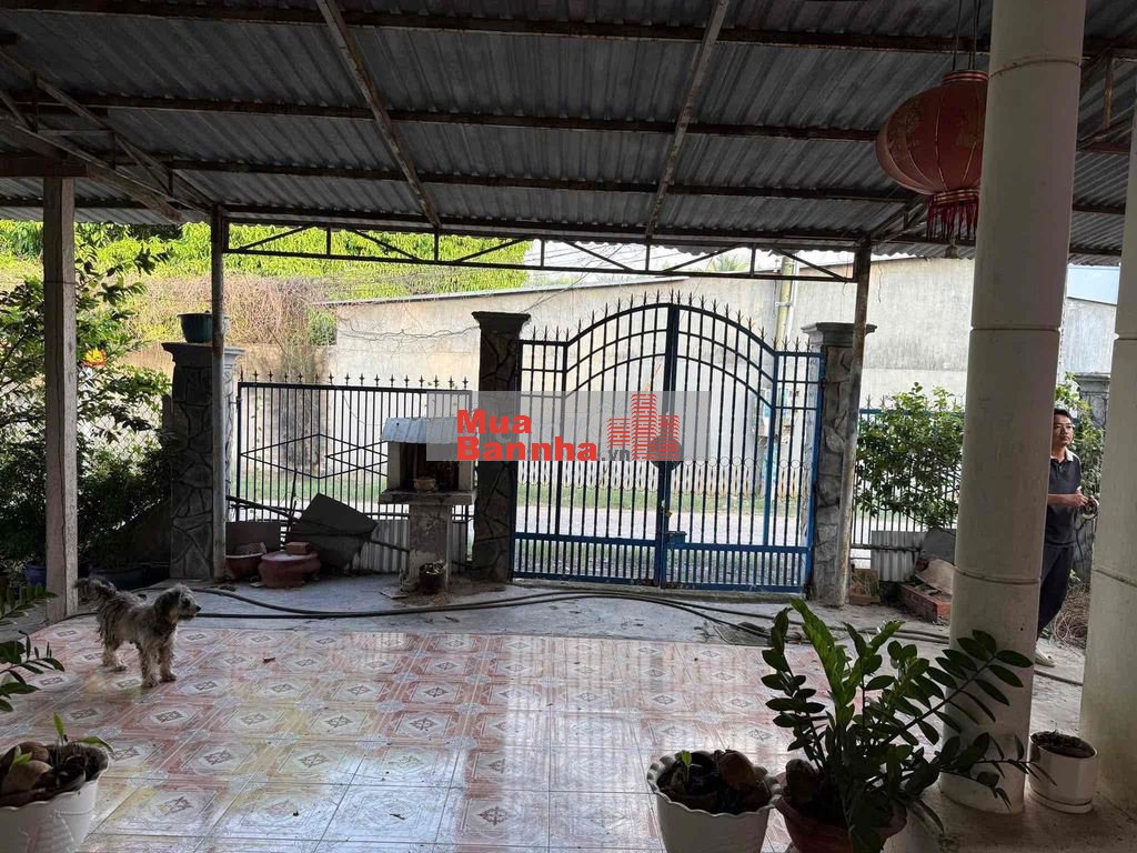 Bán Nhà Hoàn Công Rộng Đẹp Tại Gò Dầu Tây Ninh