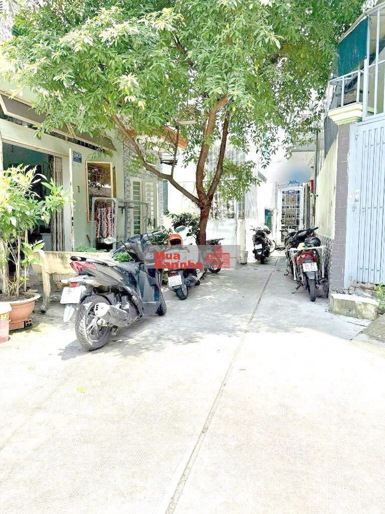 🔥 NHÀ ĐƯỜNG GÒ DẦU 4X12M 2 LẦU GIÁ CHỈ 3,5 TỶ 🔥