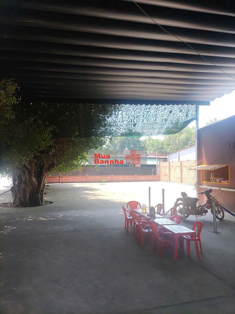 Bán lô đất + nhà 2 mặt tiền đường Cây Gõ – An Phú đang kd quán nước