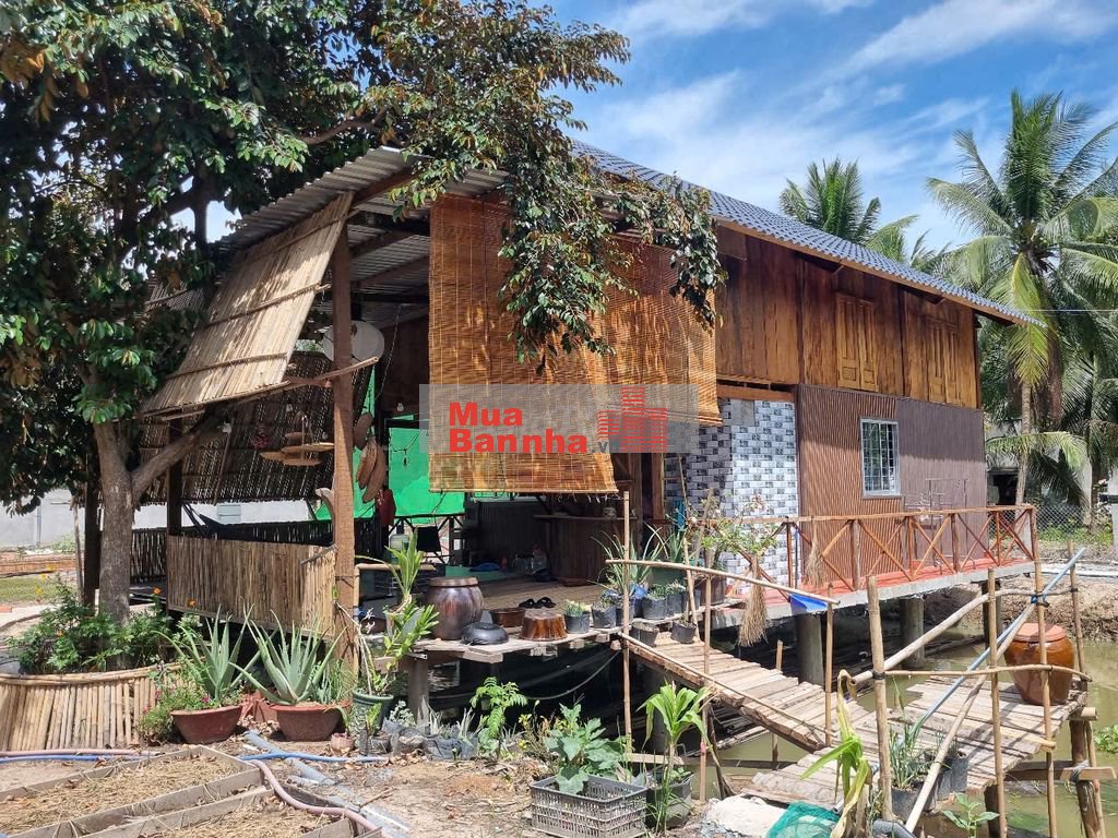 NHÀ VƯỜN TRÊN AO THUẦN CHẤT MIỆT VƯỜN MIỀN TÂY GIÁ 1T079