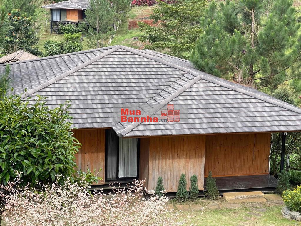 VILLA SÂN VƯỜN MẶT TIỀN ĐƯỜNG TRƯỜNG CHINH - TRONG KHU NGHỈ DƯỠNG