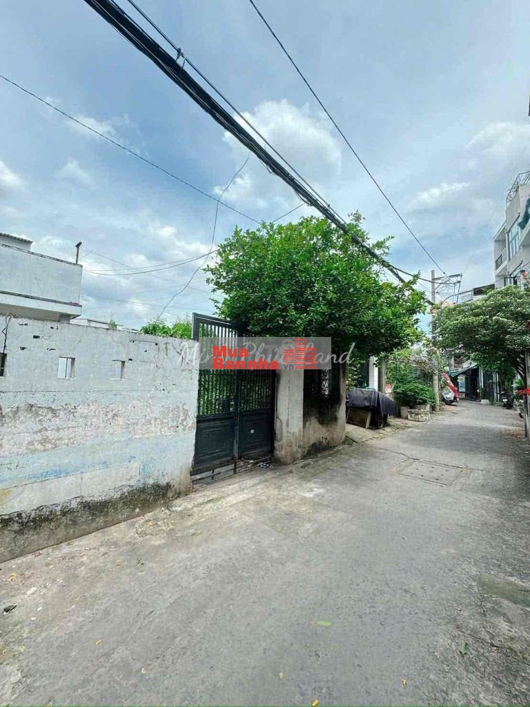 Bán gấp Nhà Cấp 4 Nở Hậu - Cạnh cầu Tân Thuân - HXH - Gần 100m2