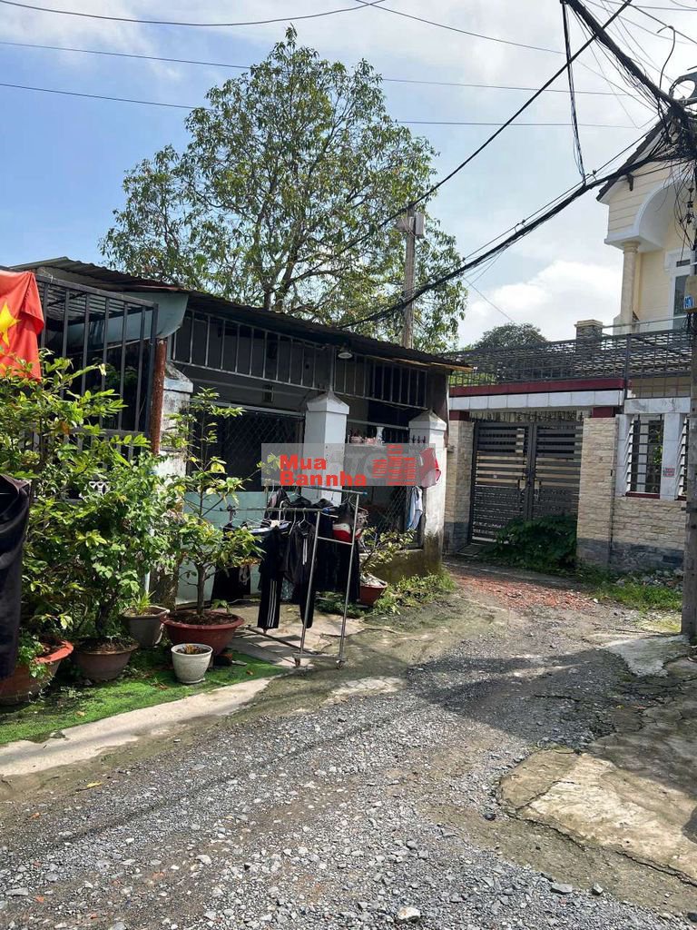 Bán nhà shr chính chủ