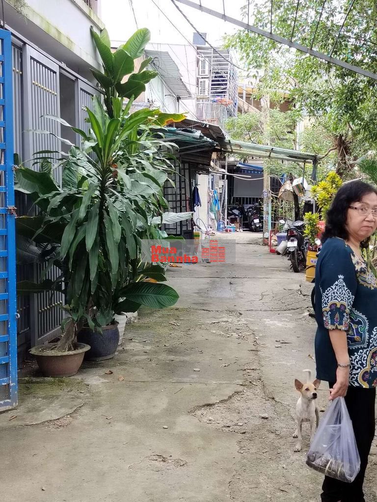 Chủ cần bán nhà