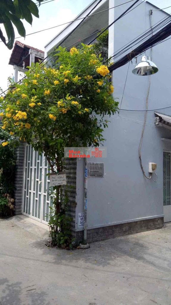 Cần bán nhà chính chủ căn góc 2 mặt hẻm xe hơi F4 Q8