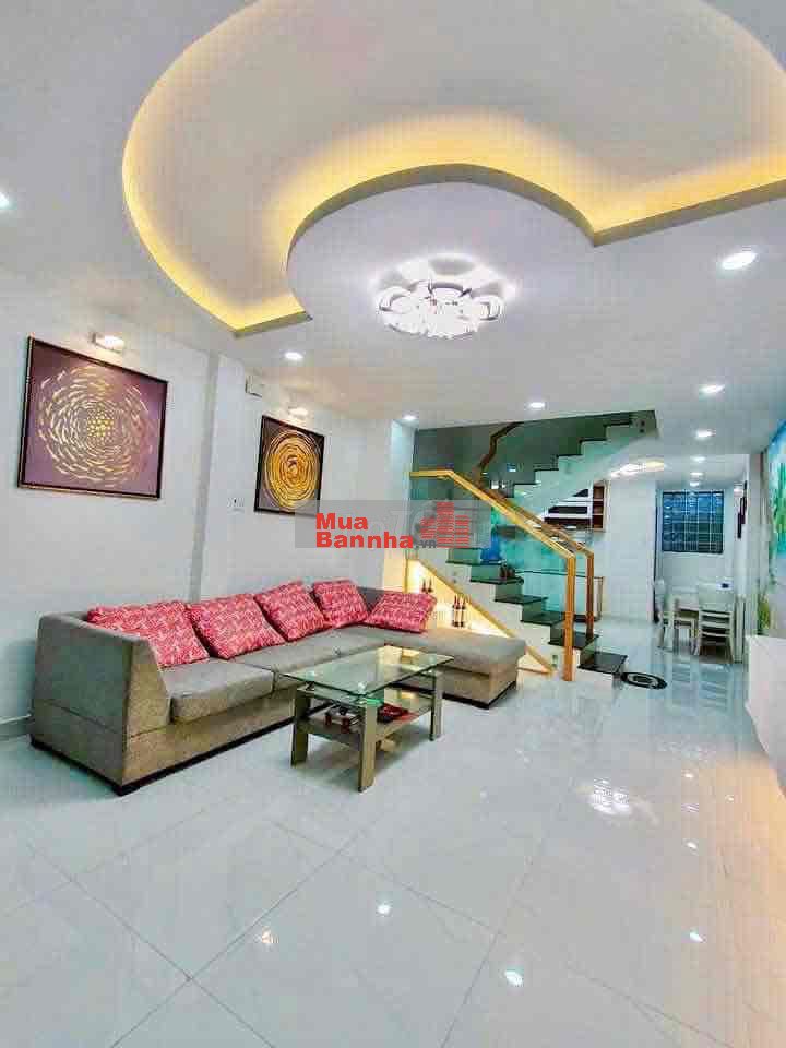 MT Bùi Tư Toàn, 4x14, full nội thất sịn, siêu đẹp, hẻm6m, 8PN, giá TL