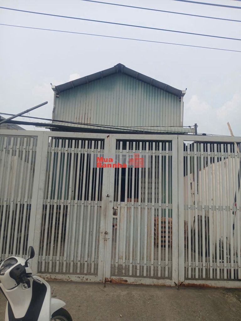 Nhà mặt tiền 366m2, đường Trần Văn Giàu, Tân Vĩnh Lộc mới, TPHCM