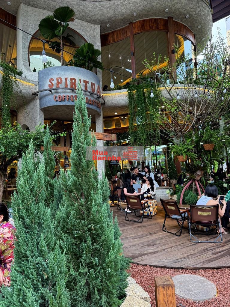 Ngay Cafe SPIRLTUAL 403 Trường Chinh Trương Công Định (4x13m, 3.5 Tấm)