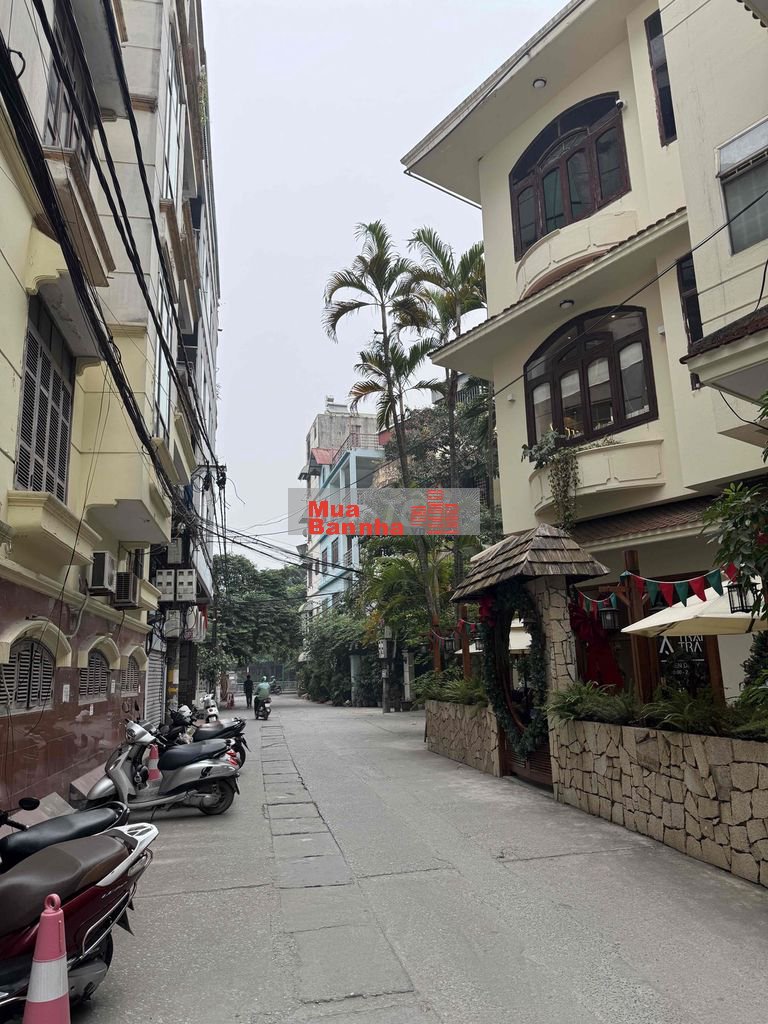 Phân lô - Trung Ương Đảng - Lô góc - 2 mặt ô tô tránh - Phố Vọng