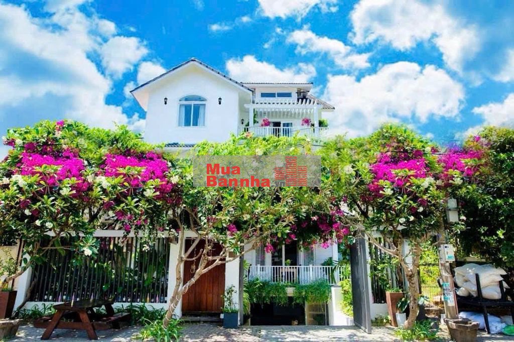 VỊ TRÍ KINH DOANH 4 TẦNG MT ĐƯỜNG 7M5 LÝ TỰ TRỌNG-HẢI CHÂU NGANG 6M2