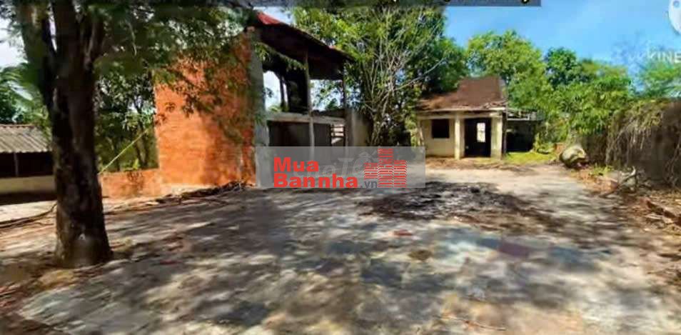 Nhà vườn ao trag trại 230x130m đường bàu tràm lớn