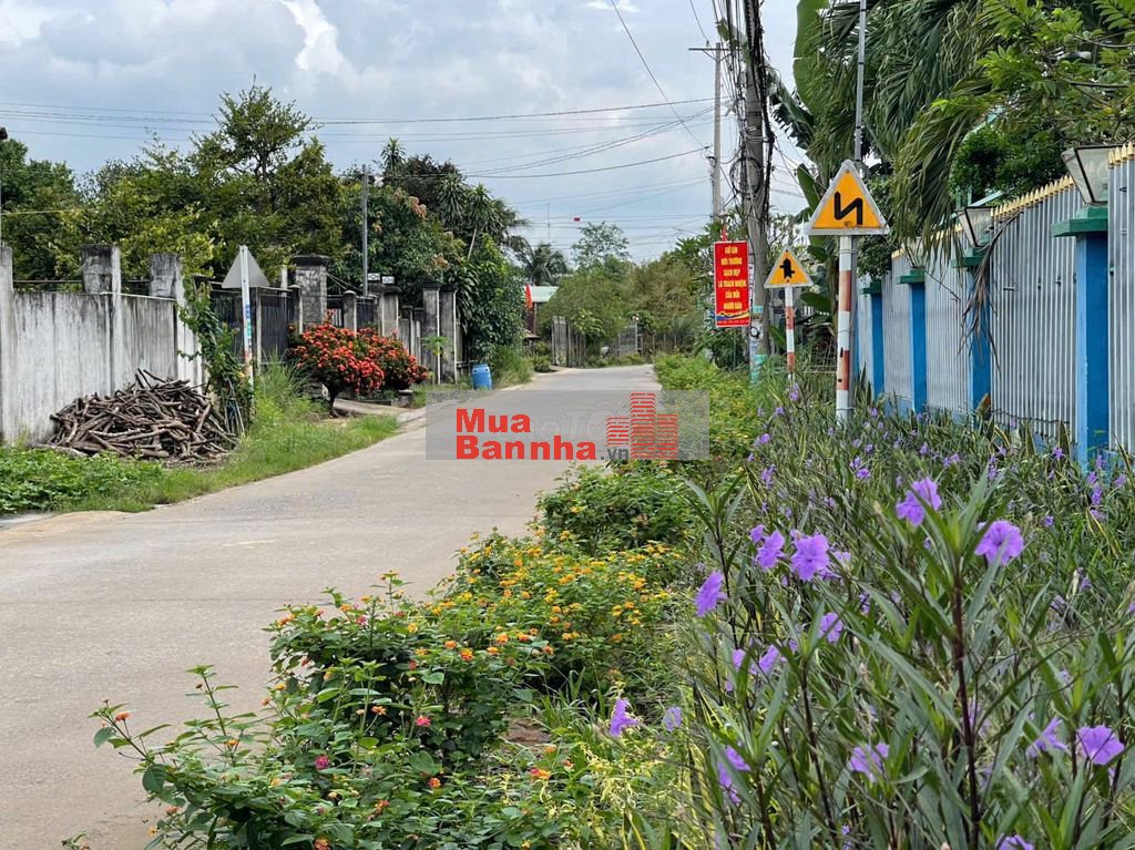 Nhà Ở Lộc An Long Thành Gần Sân Bay Thanh Toán Linh Hoạt Giá Tốt 2026