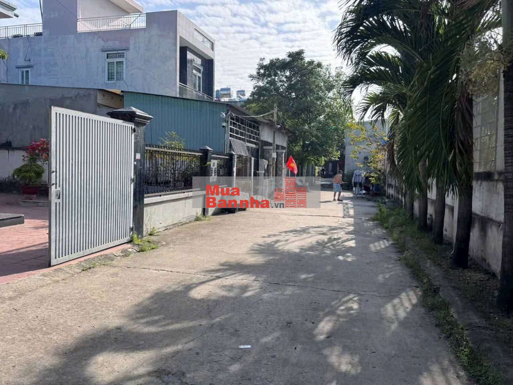 Nhà mới ra sổ đường xe hơi thông