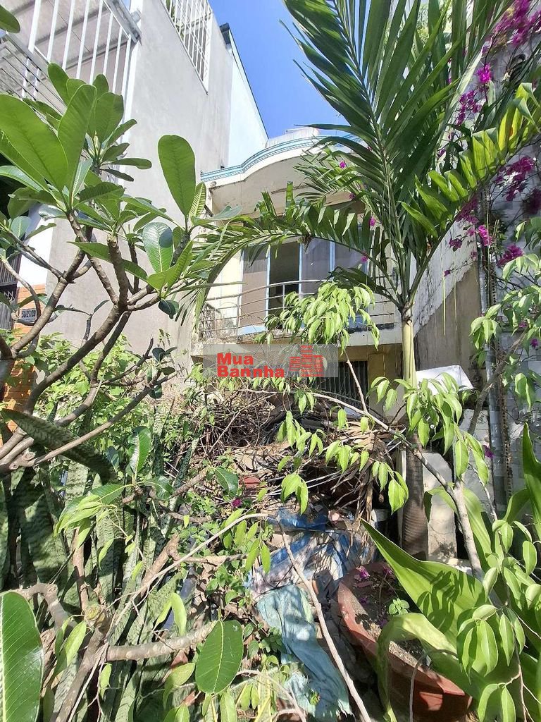 Bán nhà cũ 1 trệt+1 lầu 4×16 đường 12m nguyễn quý yêm