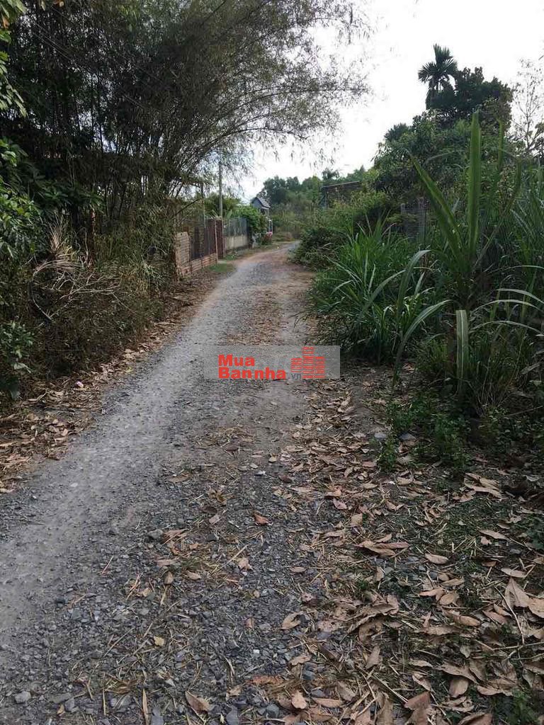 ủ gửi bán căn nhà ngang 4*36. Đất cln+50tc.