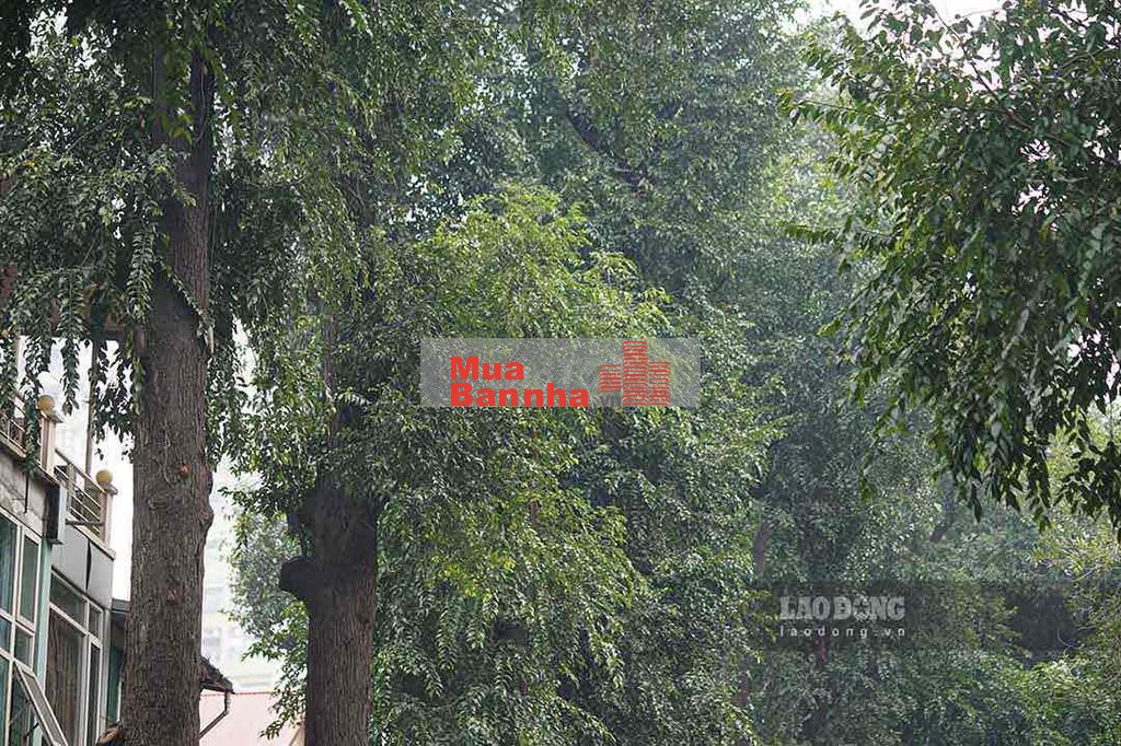 bán nhà mặt phố lò đúc