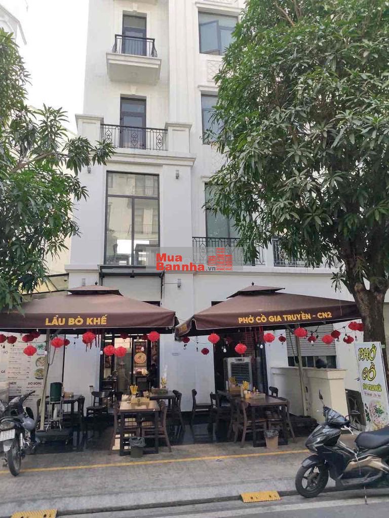 🔥 NHÀ MẶT TIỀN KINH DOANH 6 TẦNG CÓ THANG MÁY