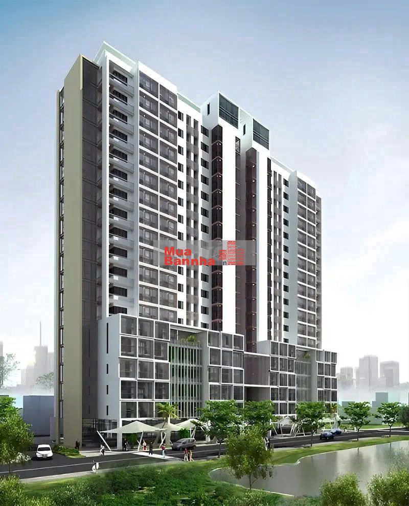 Bán Chuyển Nhượng – Xuất Ngoại Giao – Quyết Nhanh – Toà X 2 – NOXH.